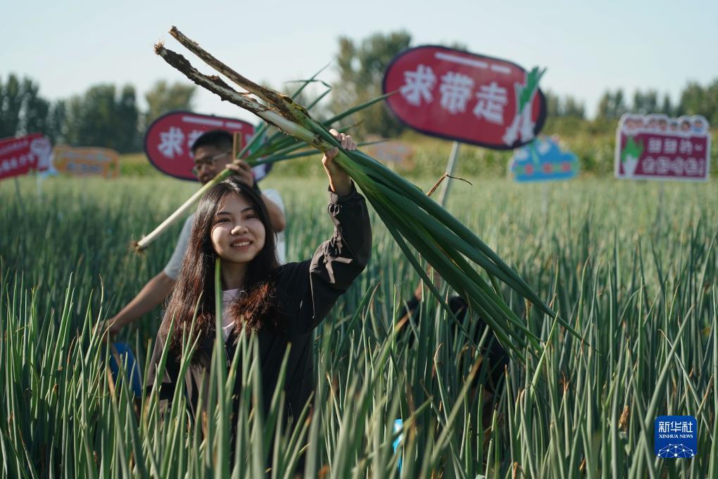 菠菜白菜最新论坛